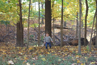 Enlarge photo 173