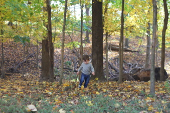 Enlarge photo 174