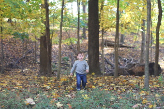 Enlarge photo 175