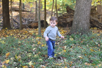 Enlarge photo 178