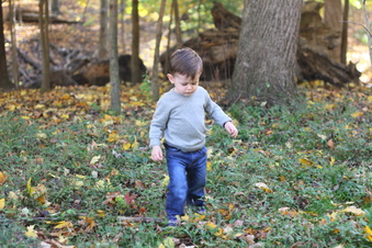 Enlarge photo 179