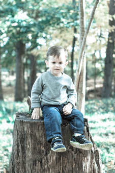 Enlarge photo 182