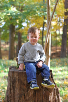 Enlarge photo 183