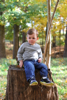 Enlarge photo 186