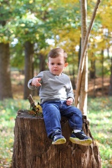 Enlarge photo 187