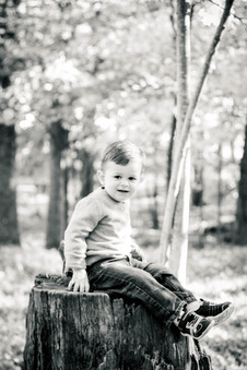 Enlarge photo 192