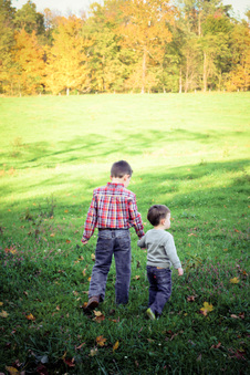 Enlarge photo 287