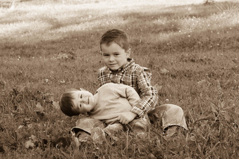 Enlarge photo 299