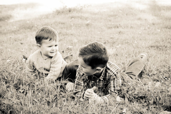 Enlarge photo 316