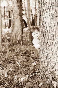 Enlarge photo 319