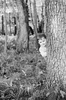 Enlarge photo 320