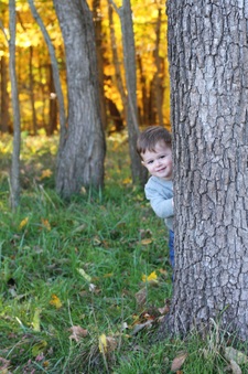 Enlarge photo 321