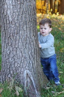 Enlarge photo 323