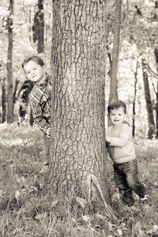Enlarge photo 325