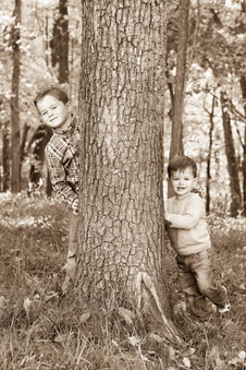 Enlarge photo 326