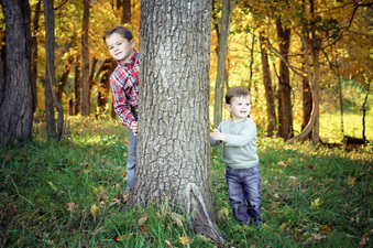 Enlarge photo 329