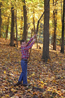 Enlarge photo 341