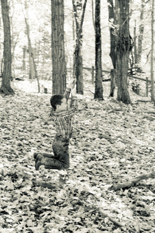 Enlarge photo 342