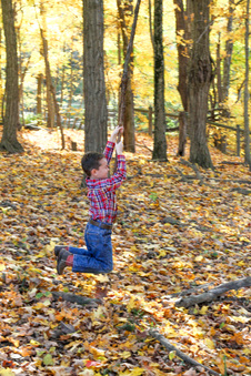 Enlarge photo 343