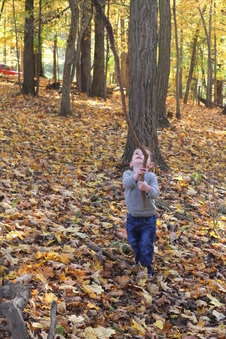 Enlarge photo 351