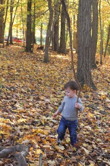 Enlarge photo 352