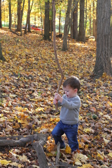 Enlarge photo 354