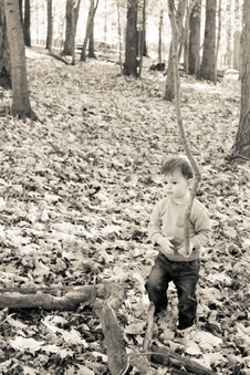 Enlarge photo 355