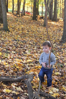 Enlarge photo 356
