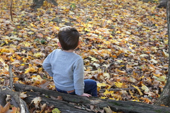 Enlarge photo 358