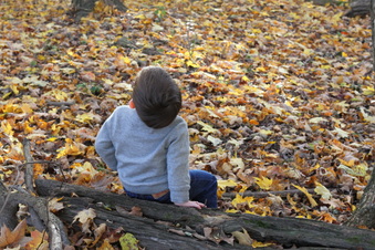 Enlarge photo 359
