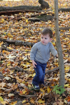 Enlarge photo 362