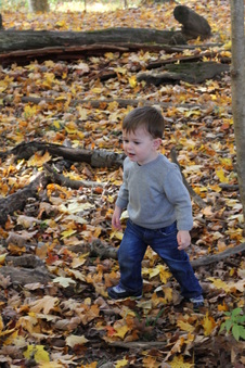 Enlarge photo 363