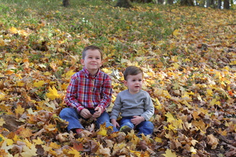 Enlarge photo 368