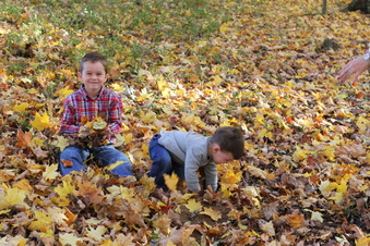 Enlarge photo 370