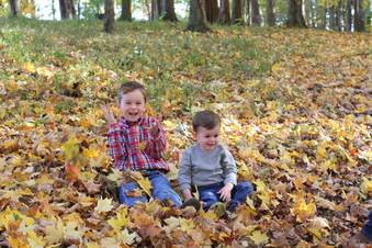 Enlarge photo 372