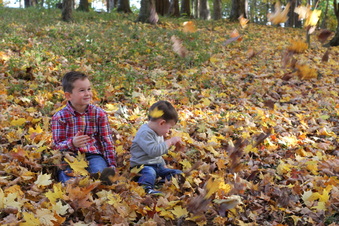 Enlarge photo 373