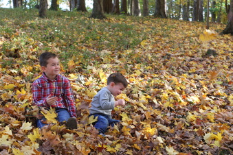 Enlarge photo 374