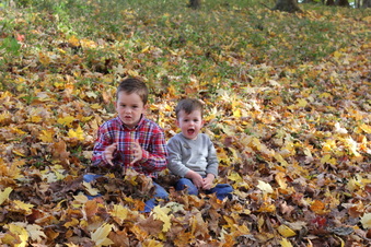 Enlarge photo 376