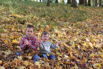Enlarge photo 377