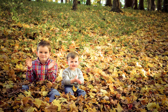 Enlarge photo 378