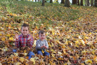 Enlarge photo 379