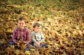 Enlarge photo 382