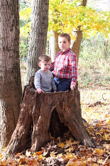 Enlarge photo 385