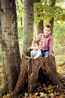 Enlarge photo 392