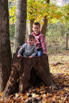 Enlarge photo 396