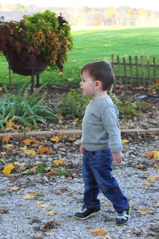 Enlarge photo 419