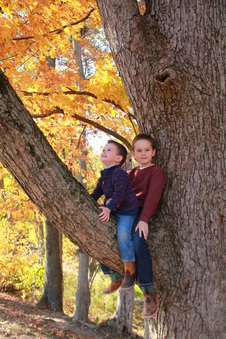 Enlarge photo 95