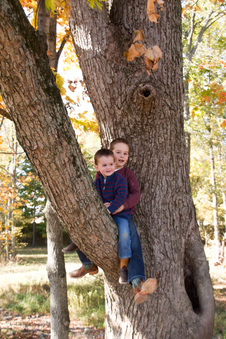 Enlarge photo 103