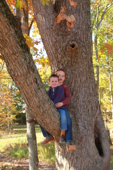 Enlarge photo 104