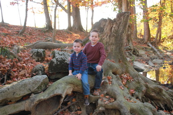 Enlarge photo 135